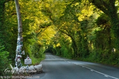 Fairy Bridge, Isle of Man