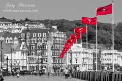 Manx-Flags